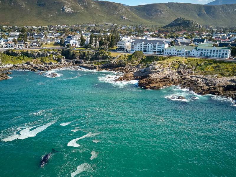 Hermanus Windsor Hotel  |  Hermanus Windsor Hotel / Chamleon
