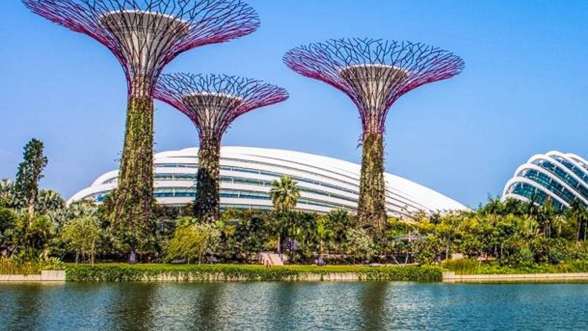 Gardens by the Bay in Singapur | © tk tan, Pixabay / Chamäleon