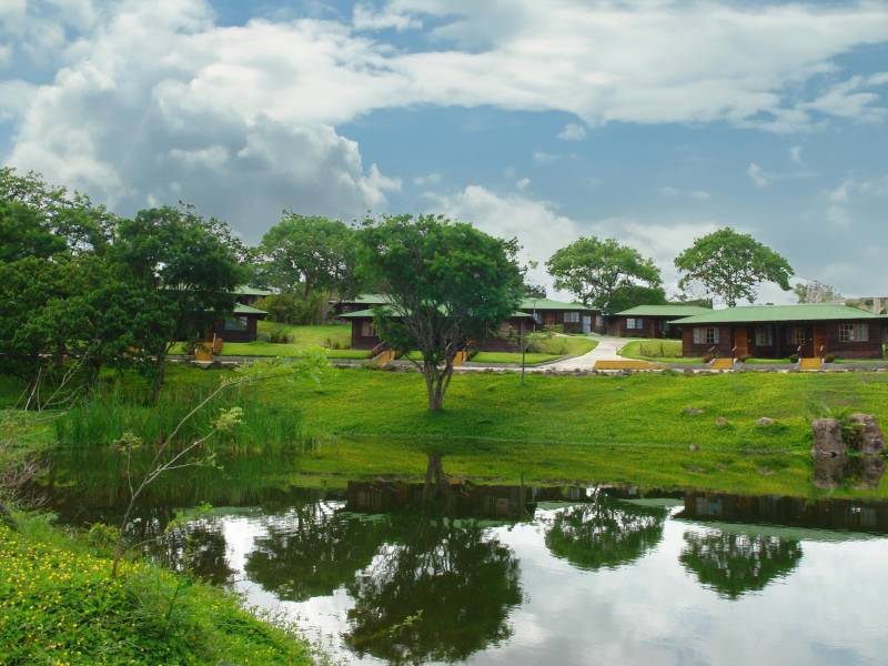 Buena Vista del Rincon |  Buena Vista del Rincon / Chamleon