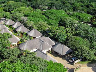 Lodge Afrique |  Lodge Afrique / Chamleon