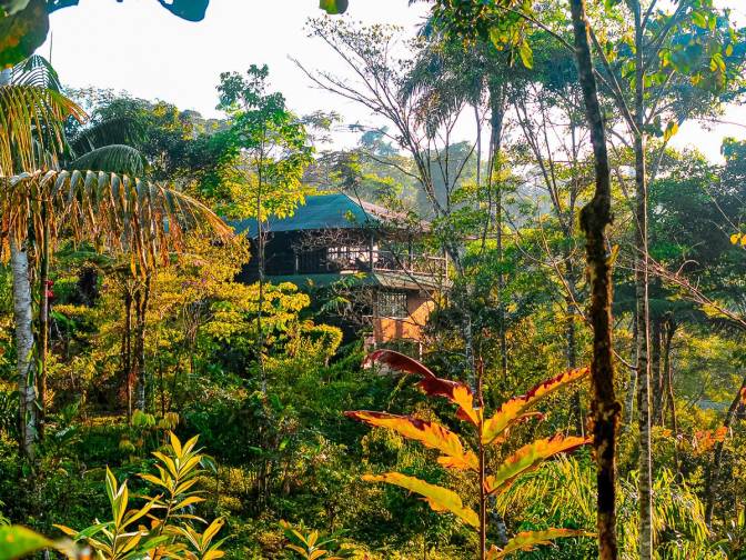Las Cascadas Jungle Lodge
