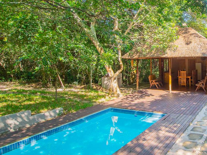 Kosi Bay Lodge |  Bruce Taylor, Kosi Bay Lodge / Chamleon