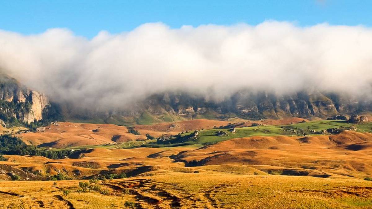 Morgenstimmung in den Drakensbergen |  Ines Hertrampf / Chamleon