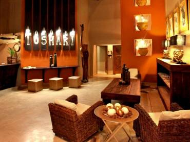 Toshari Lodge |  Toshari Lodge / Chamleon