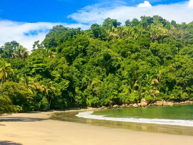 Strand im Manuel-Antonio-Nationalpark |  Anja Pilarski / Chamleon