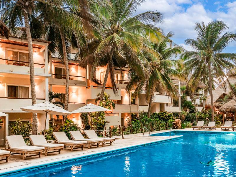 Petit Lafitte Beach Front Hotel & Bungalows |  Petit Lafitte Beach Front Hotel & Bungalows / Chamleon