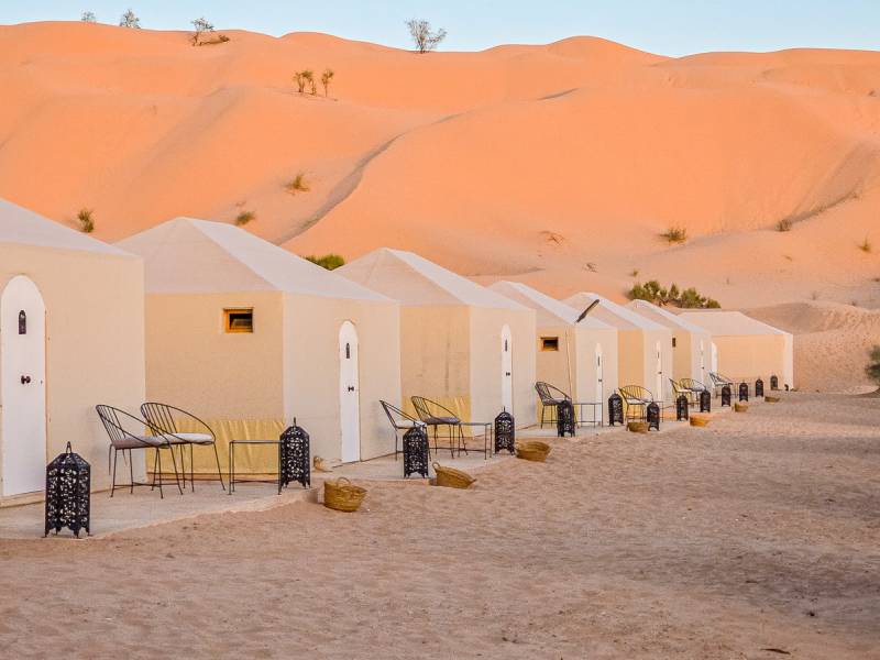 Abdelmoula Camp Tunesien |  Abdelmoula Camp  / Chamleon