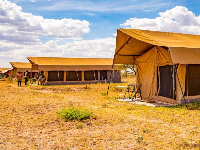 Serengeti Wildebeest Camp