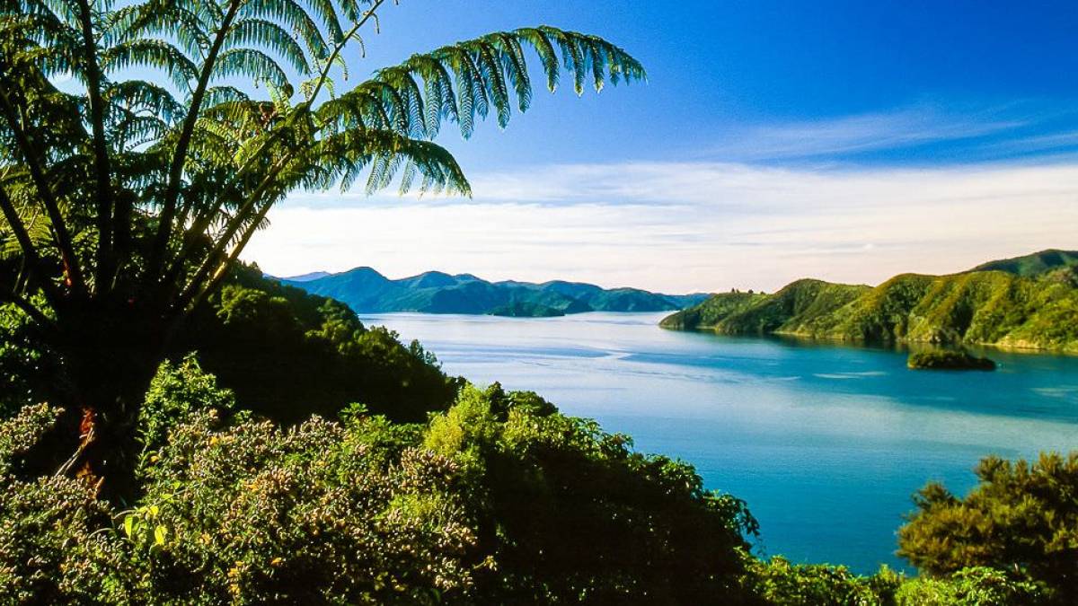 Die Picton Bucht in den Marlborough Sounds | © Dirk Bleyer / Chamäleon Die Picton Bucht in den Marlborough Sounds | © Dirk Bleyer / Chamäleon