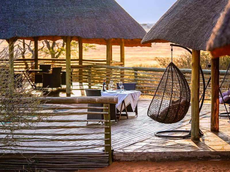 Suricate Kalahari Tended Lodge  |  Suricate Kalahari Tended Lodge / Chamleon