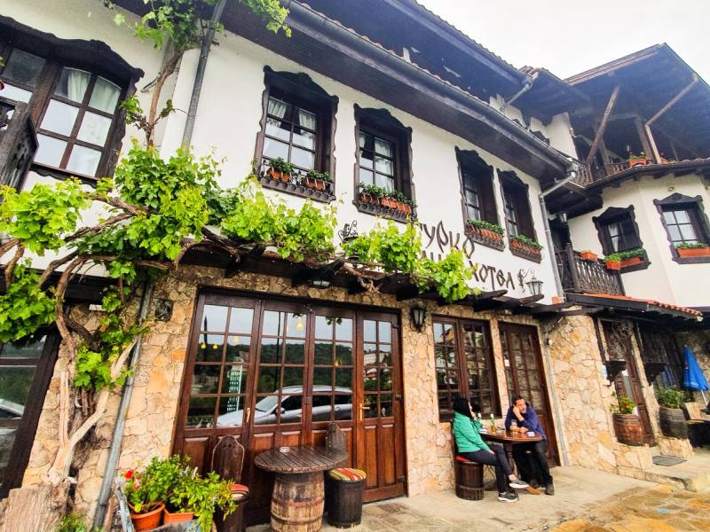 Hotel Gurko |  Hotel Gurko / Chamleon