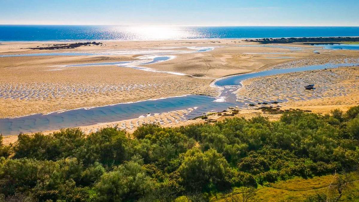 Lagunen im Naturpark Ria Formosa | © inonoyazy, Pixabay / Chamäleon Lagunen im Naturpark Ria Formosa | © inonoyazy, Pixabay / Chamäleon