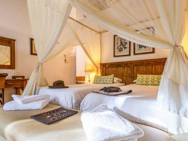 Needles Safari Lodge  |  Needles Safari Lodge / Chamleon
