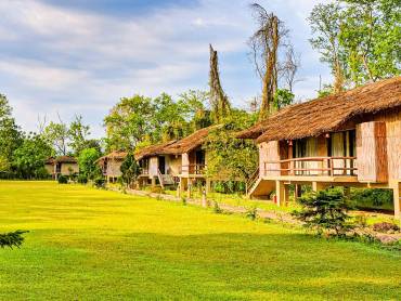Temple Tiger Jungle Lodge |  Temple Tiger Jungle Lodge / Chamleon