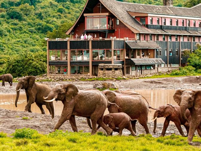 The Ark Lodge