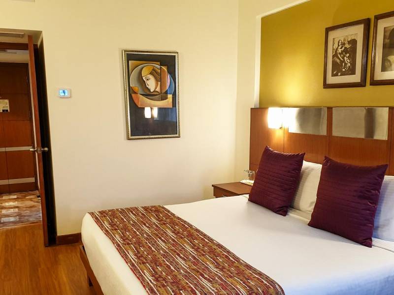Suryaa New Delhi |  Suryaa New Delhi / Chamleon